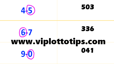 Thai Lottery Sure Win Single Digit 3UP Number September 16, 2024