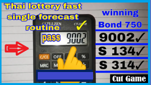 Thai Lottery Final Forecast Routine Winning Bond Oct 16, 2024