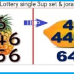 Thai Lottery Single Set Jora Rotten Formula 01 November 2024