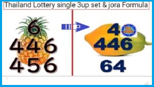 Thai Lottery Single Set Jora Rotten Formula 01 November 2024