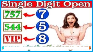 Thai Lottery Win Single Digit Formula 01 November 2024