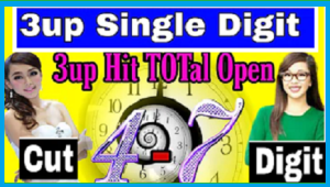 Thailand Lottery Nirob Tips Cut Digit Hit Total Open 01-11-2024