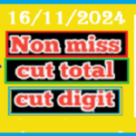 Thai Lottery Cut Digit Total Non-Missed Number 16th November 2024