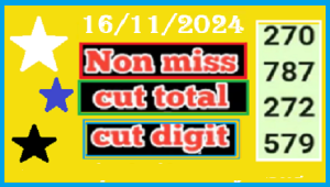 Thai Lottery Cut Digit Total Non-Missed Number 16th November 2024