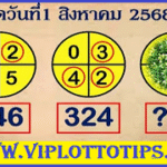 Thai Lottery 3Up Single Digit Tips Lucky Number Today 01.08.2025
