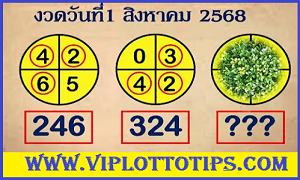 Thai Lottery 3Up Single Digit Tips Lucky Number Today 01.08.2025