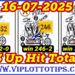 Thai Lottery 3up Hit Total Open Fix 100% 16/07/2025