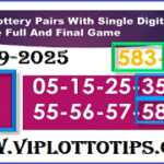 Thai Lottery Pairs Single Digit Update Full And Final Game 1-9-2025